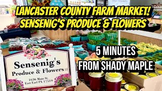 SENSENIG’S Produce & Flowers Tour! Home Grown, Local Goods from Lancaster Amish County PA!