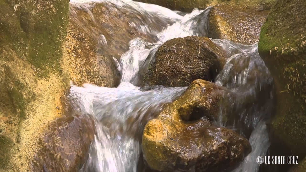 Ecosystems of California: Urban