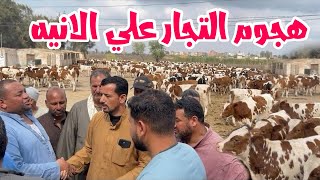 ابقي قابلوني لو عرفتوا تشتروا بالأسعار دي بعد العيد سوق الانيه واصحاب المزارع تستعد لساعة الصفر