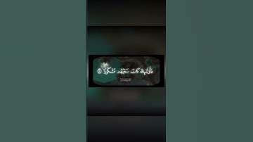 #القرآن_الكريم #اللهم_صل_وسلم_على_نبينا_محمد #تلاوة_خاشعة #محمد_اللحيدان #راحه_للقلب #راحة_نفسية