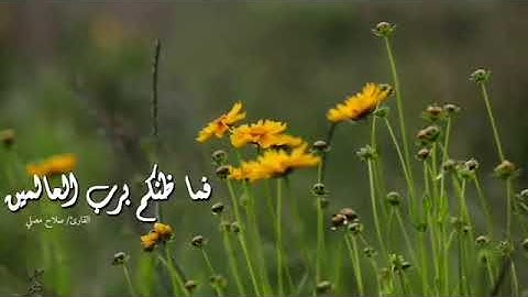 أرح سمعك⬅️ ماتيسر من سورة الصافات/ القارئ صلاح مصلي.