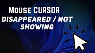 How to Fix Mouse Cursor Disappeared on Windows 10 & 11 | Fixed 100%