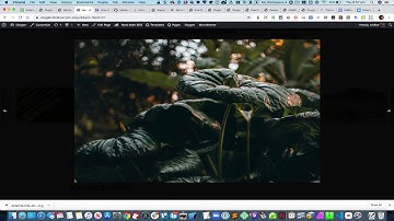 Horizontal Scrolling with Mouse Wheel in Oxygen