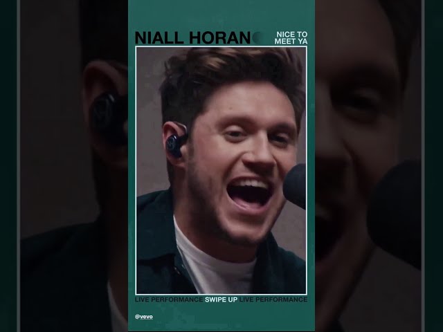Niall Horan (@niallhoran) archived Instagram Stories compilation from November 24, 2019