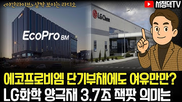 빅쇼트 마이클버리 전격 은퇴 [#살짝보이는라디오] #2차전지 #에코프로비엠 #LG화학 #엘앤에프 #포스코퓨처엠 #LG엔솔  #삼전 #SK하이닉스 #엔비디아 #AI거품론 #AI반도체