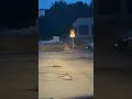 Briedis Vilniuje užsuko į autoservisą  #15min