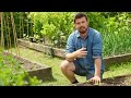 🔴 Gardeners'World 2023 | 🍀 Why You Need to Grow MORE Bush Beans This Summer! 2023