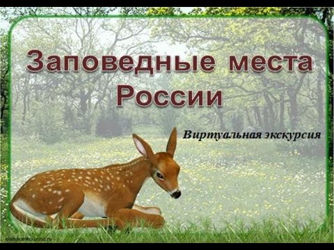 Виртуальная экскурсия «Заповедные места России»