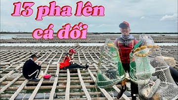 VÀO MÙA CÂU CÁ ĐỐI NHỒNG SIZE KHỦNG - 13 pha lên cá phê không tưởng
