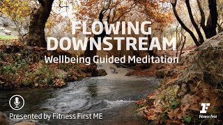 20 Minute Guided Well-being Meditation - Flowing Downstream