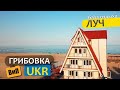 База отдыха прямо на пляже - Луч | Грибовка, Одесская область, Украина