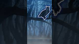 Entry 28: Forest Watcher--Excerpt from J.B. Lampwick's Guide to the Fearful and Unnatural