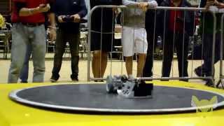 Stonehenge vs. LUXOR (FINAL) - Winter Challenge 2014
