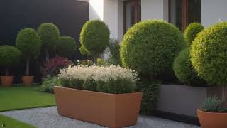These ideas can be colorful in a landscaped garden and yard. Садівництво