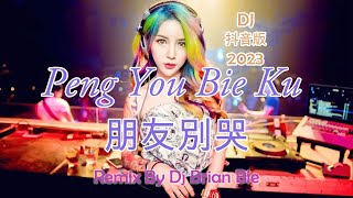 Peng You Bie Ku 朋友別哭 Remix By Dj Brian Bie