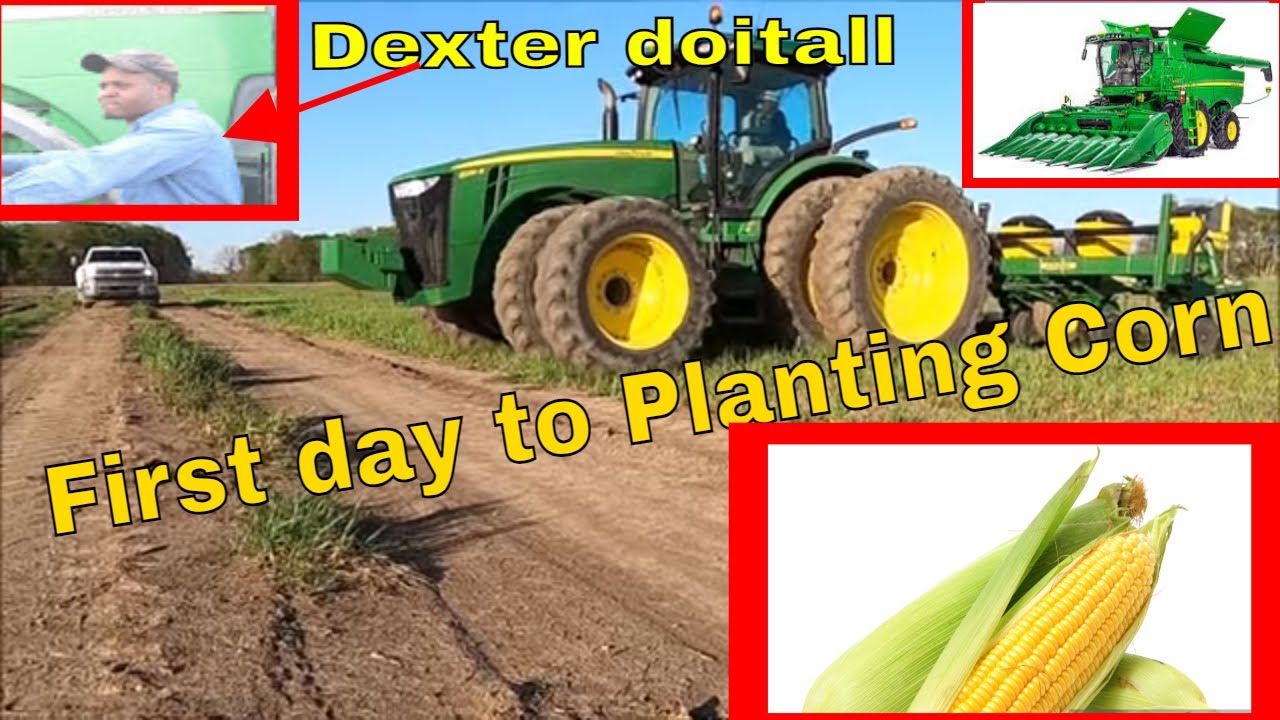 Dexter doitall First day to Planting Corn