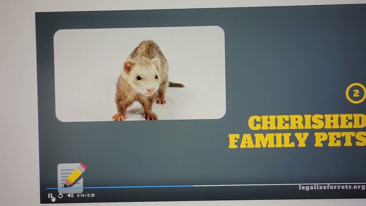 Ferret Legalization ad on Paramount Streaming Service
