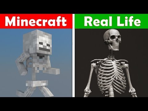 View Real Life Minecraft Skeleton Gif