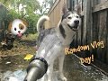 Park Day, Shower Time & More! - Random Vlog Day! #2