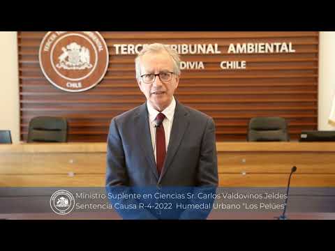 Ministro Suplente en Ciencias Sr. Carlos Valdovinos Jeldes Sentencia Causa R-4-2022