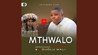 Sengihalela umngani (feat. MaGumede wenu)