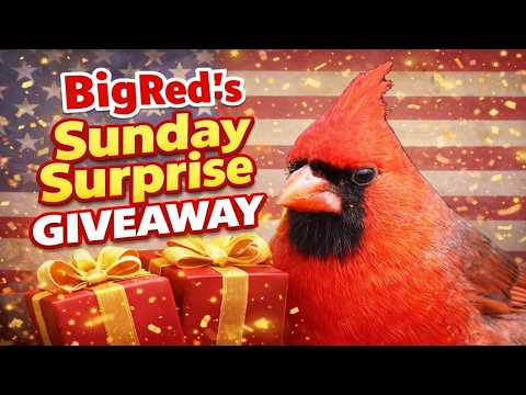 BigRed's Sunday Surprise Giveaway Drawing for April 11th