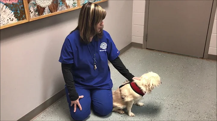 Testimonial  Betty Starr Adoptions