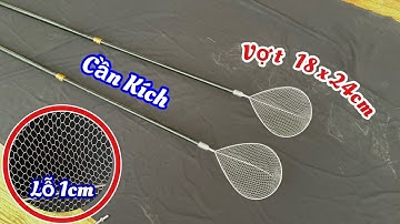 Cần Vợt Kích Cá 2,5m và 3,5m (Đầu Vợt Là : VỢT ĐAN TAY INOX XỊN 18x24cm , Mắt Lỗ 1cm ) VIP - CHẤT