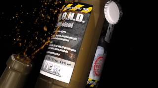 Download Lagu B.I.E.R. - Der G.O.N.D. sei ein Bier MP3