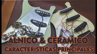 Pickups Cerámicos Y Alnico