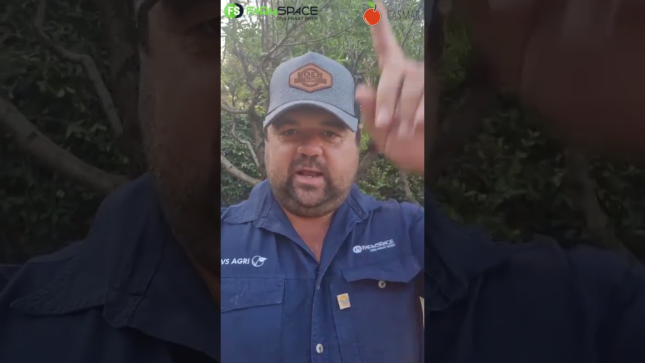 Casmar Landbou en DieWinkel hou veiling by Vivo Boerebemarkingsdag op Donderdag 29ste Augustus 2024