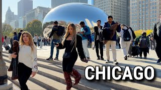 Autumn In Chicago  Downtown Walking Tour On Friday  November 14 2025  4k 60fps City Sounds