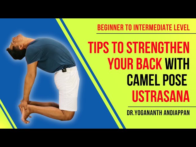 Yoga Anatomy: Camel Pose (Ustrasana) | Om Yoga Magazine