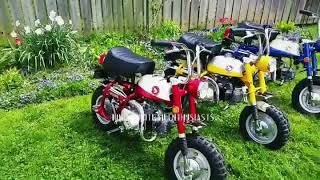 1969 Honda mini trail z50