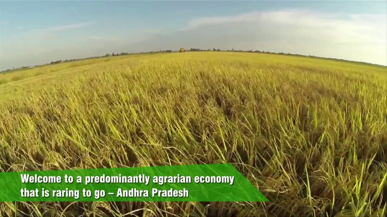 Andhra Pradesh's Advantage in Food Processing Sector YouTube