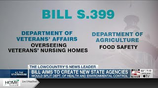 VIDEO: SC senators renew push to split up DHEC