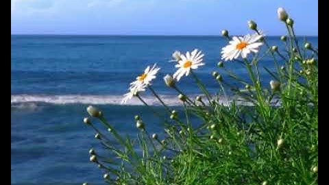 087 সূরা আল আ’লা || Al A'la | The Most High || سورة الأعلى | কুরআন এর বাংলা অনুবাদ | quran bangla