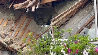 South Georgia Red Cross seeks community donations to help local families recovering from disasters