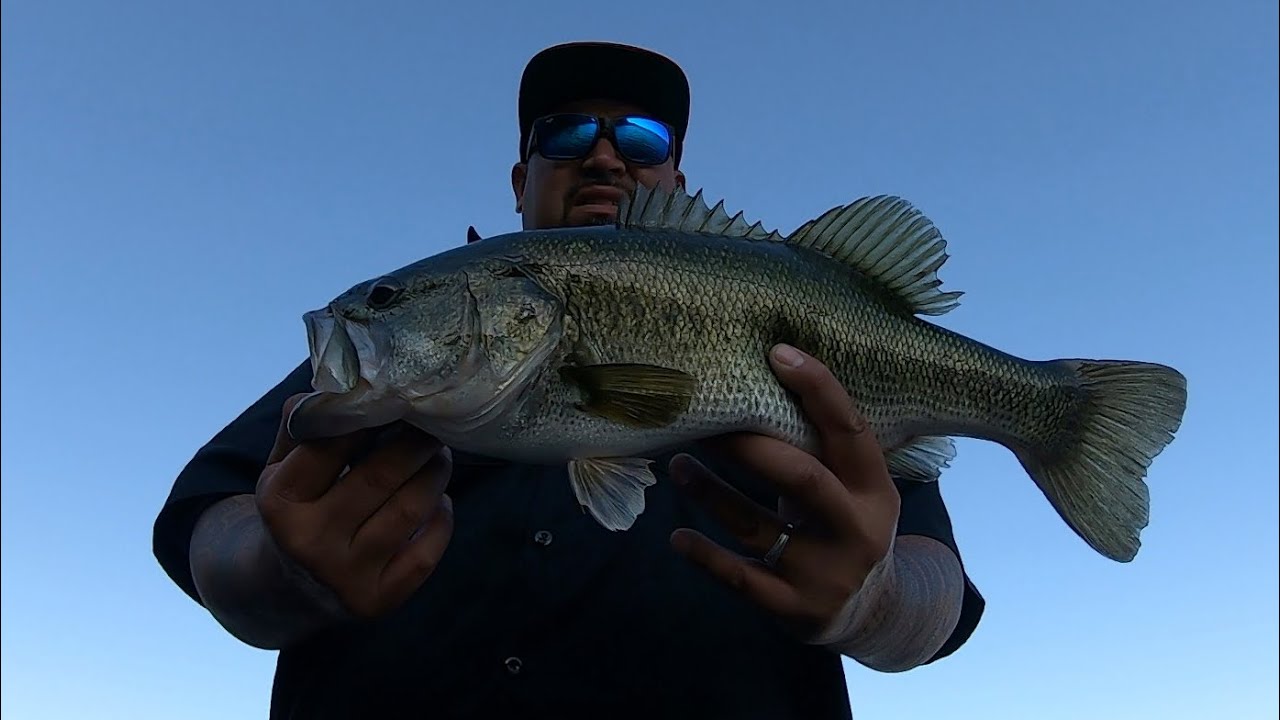 Bass Fishing With My Wifey Los Banos Creek Reservoir