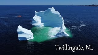 Iceberg at Twillingate, NL (May 25, 2022)