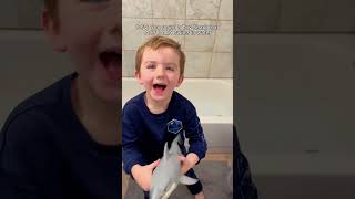 Its Not Just A Toy... Its A Robo Shark That Swims