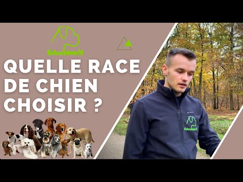 QUELLE RACE DE CHIEN CHOISIR ?