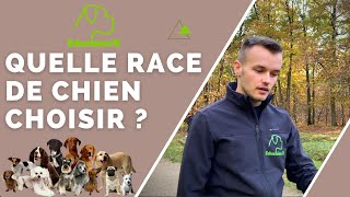 QUELLE RACE DE CHIEN CHOISIR ?