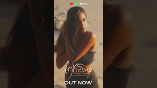 My brother's First Original is Out