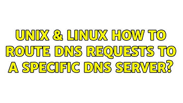 Unix & Linux: How to route DNS requests to a specific DNS server?