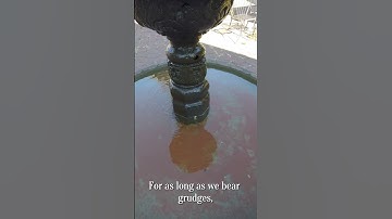 Thumbnail of Why Forgive?