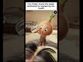 Stop ignoring this hair hack—onion might be the natural boost your scalp actually needs 🔥 #shorts
