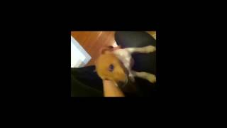 VID 20161017 2