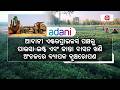 କୋଇଲା ଖଣିରୁ ସବୁଜିମା ପର୍ଯ୍ୟନ୍ତ | Mining Land to Green Forest: Adani Group | Reforestation| Argus News