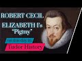 24 May - Robert Cecil, Elizabeth I's "pygmy" #shorts